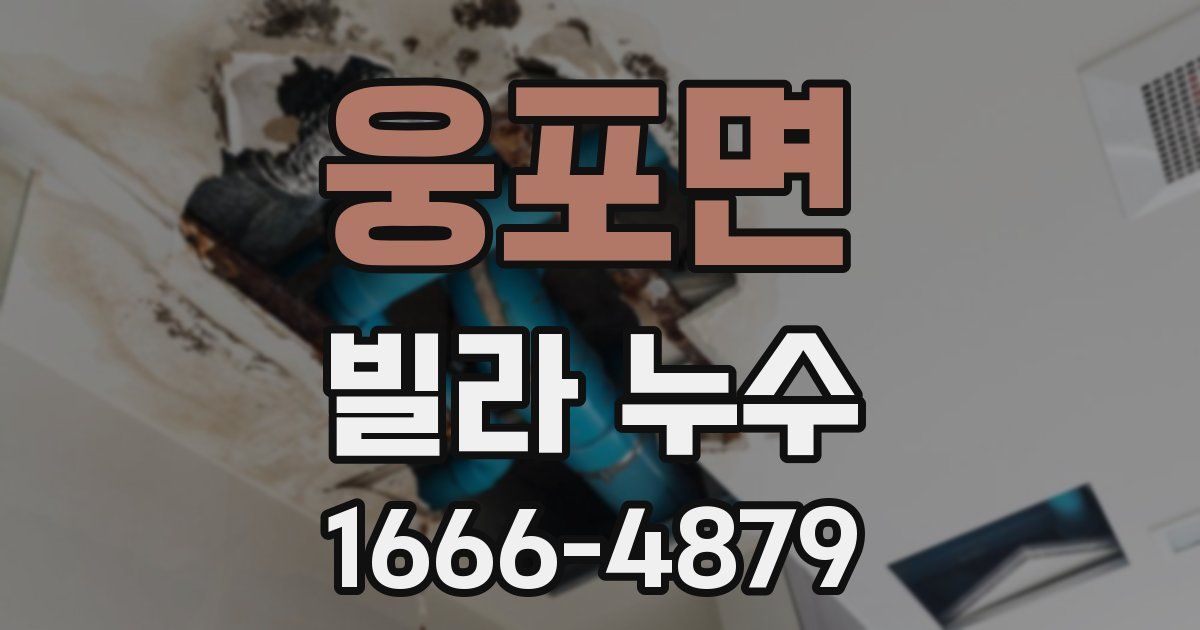 웅포면 빌라 누수