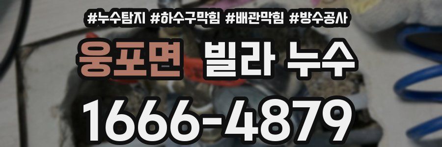 웅포면 빌라 누수