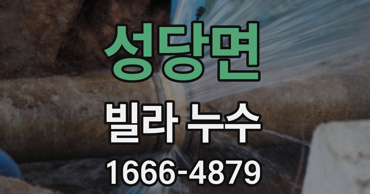 성당면 빌라 누수