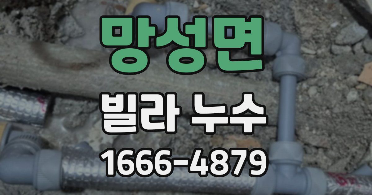 망성면 빌라 누수