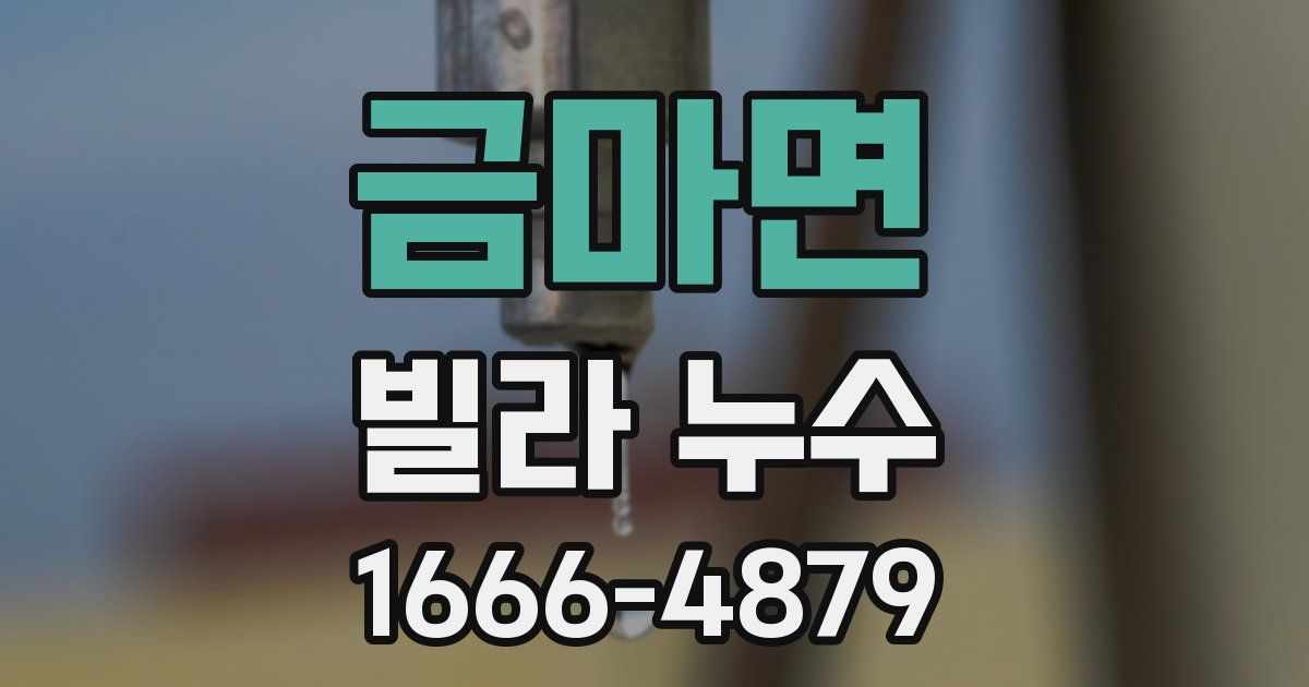 금마면 빌라 누수