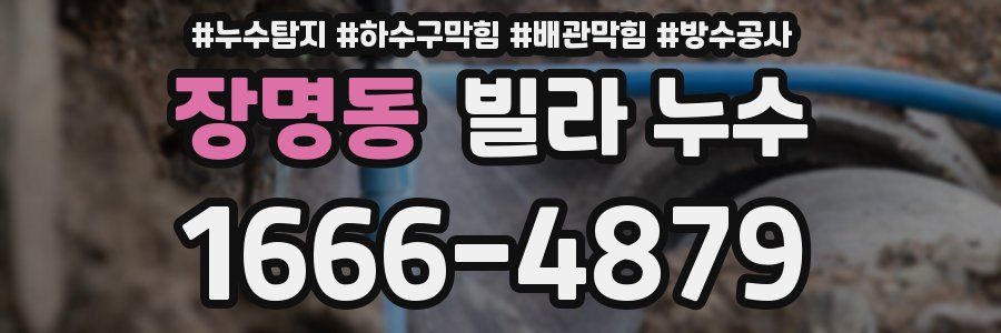 장명동 빌라 누수