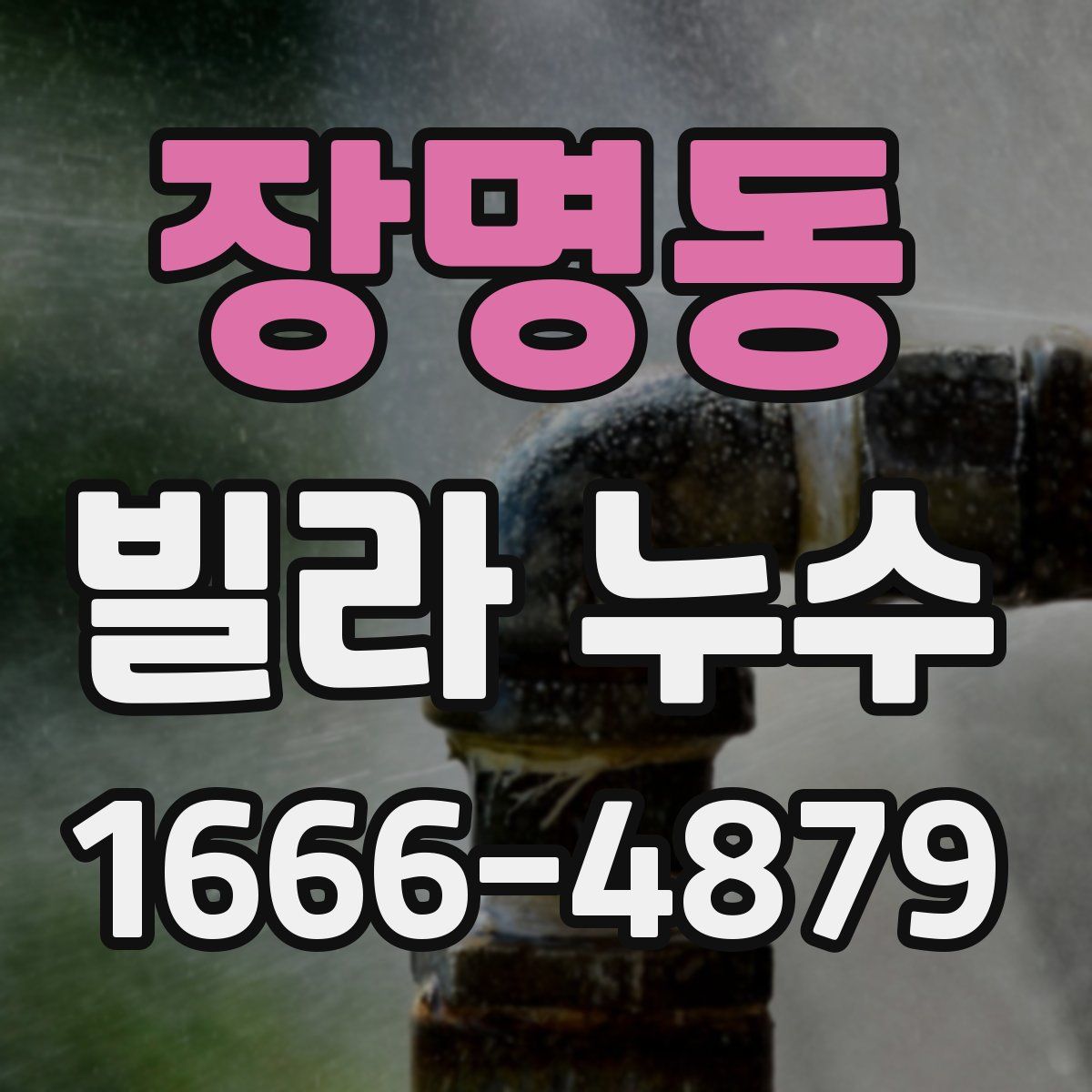 장명동 빌라 누수