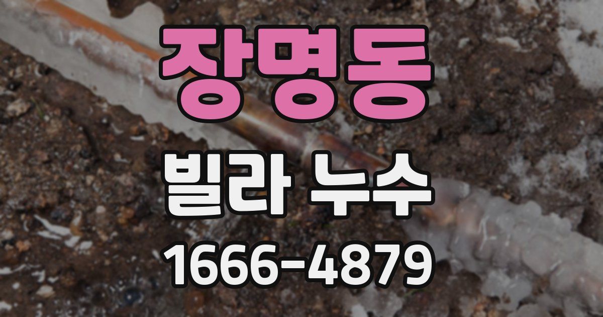 장명동 빌라 누수