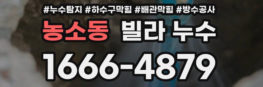 농소동 빌라 누수