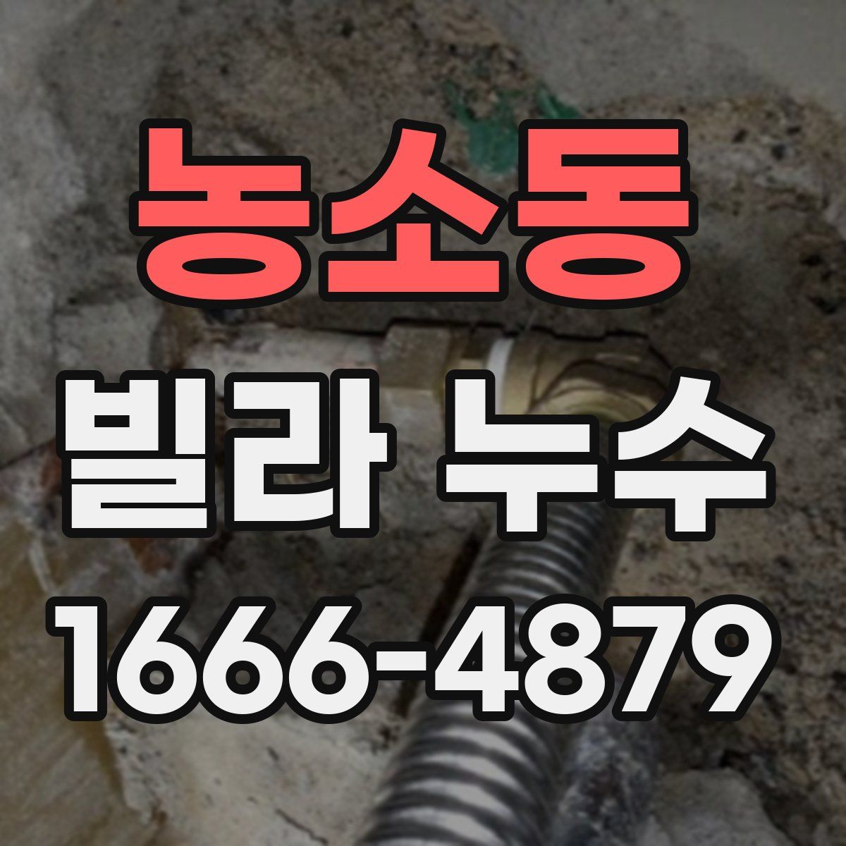 농소동 빌라 누수