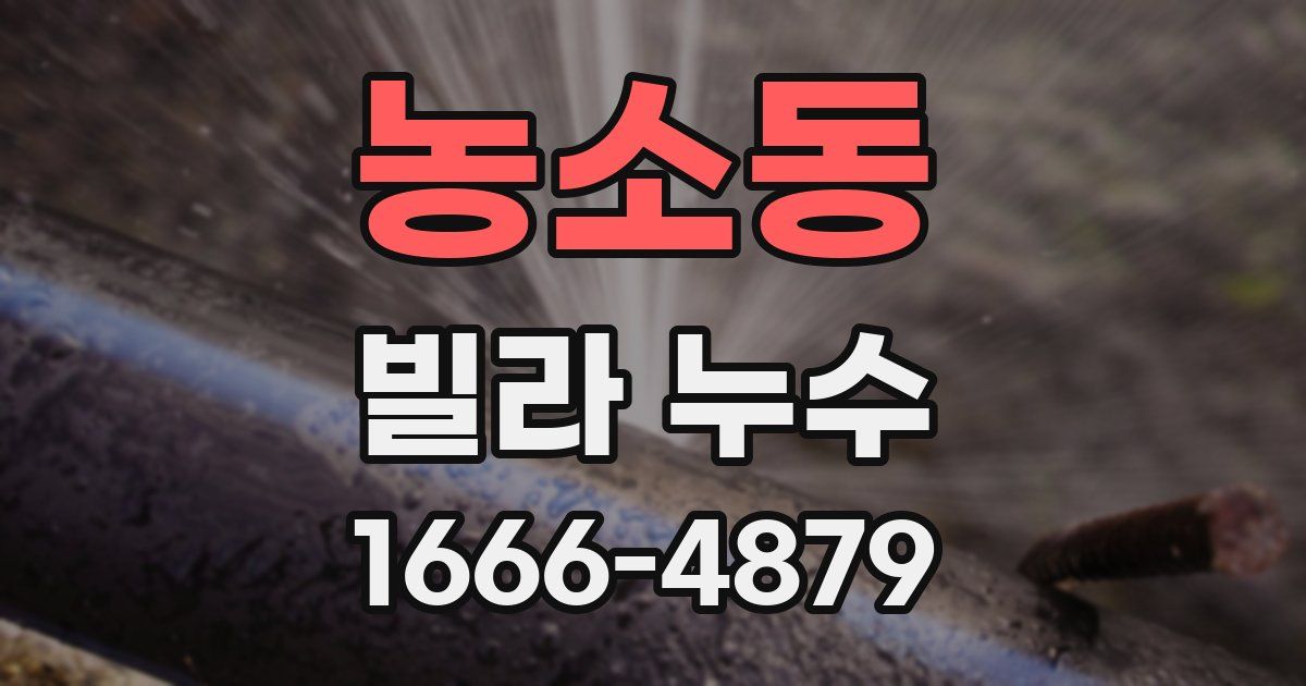 농소동 빌라 누수