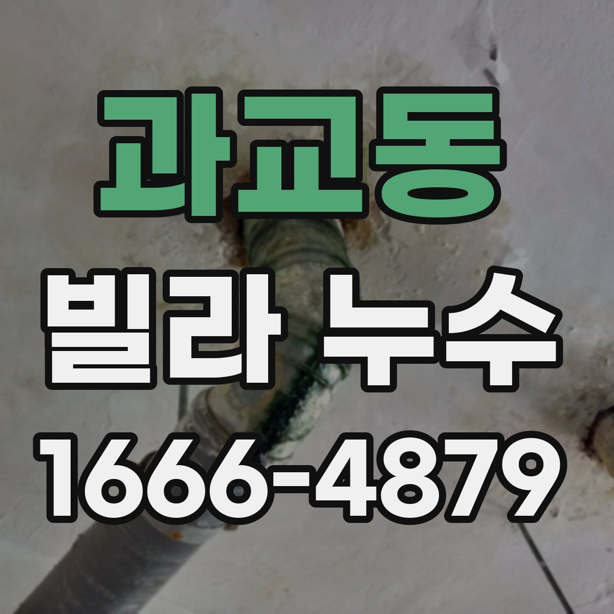 과교동 빌라 누수