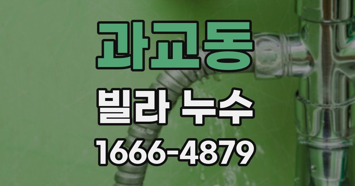 과교동 빌라 누수