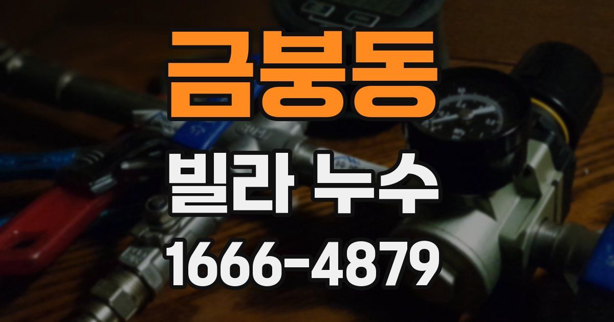 금붕동 빌라 누수