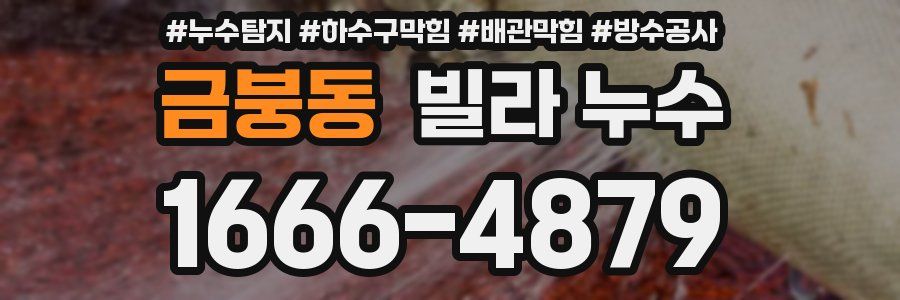 금붕동 빌라 누수