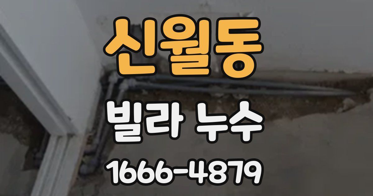 신월동 빌라 누수