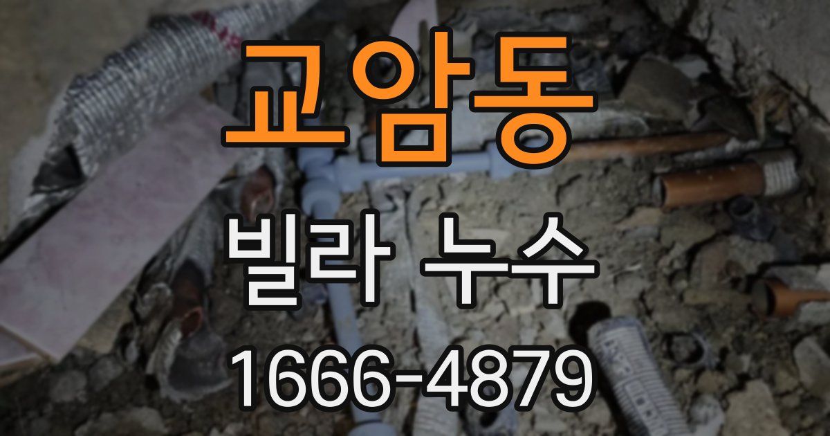 교암동 빌라 누수