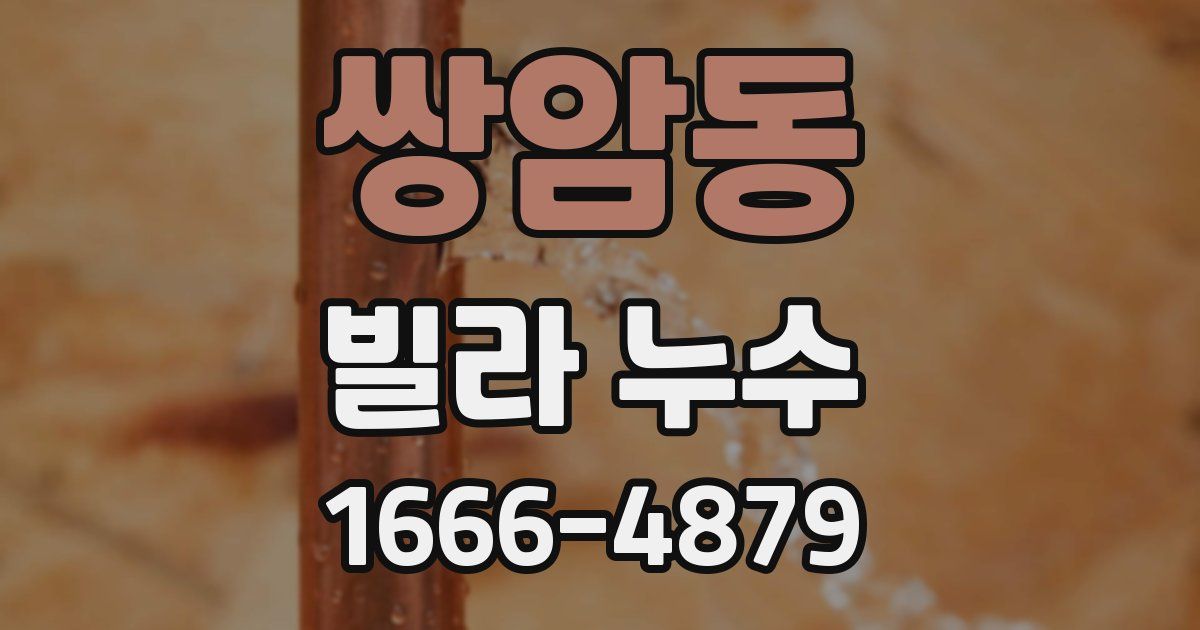 쌍암동 빌라 누수