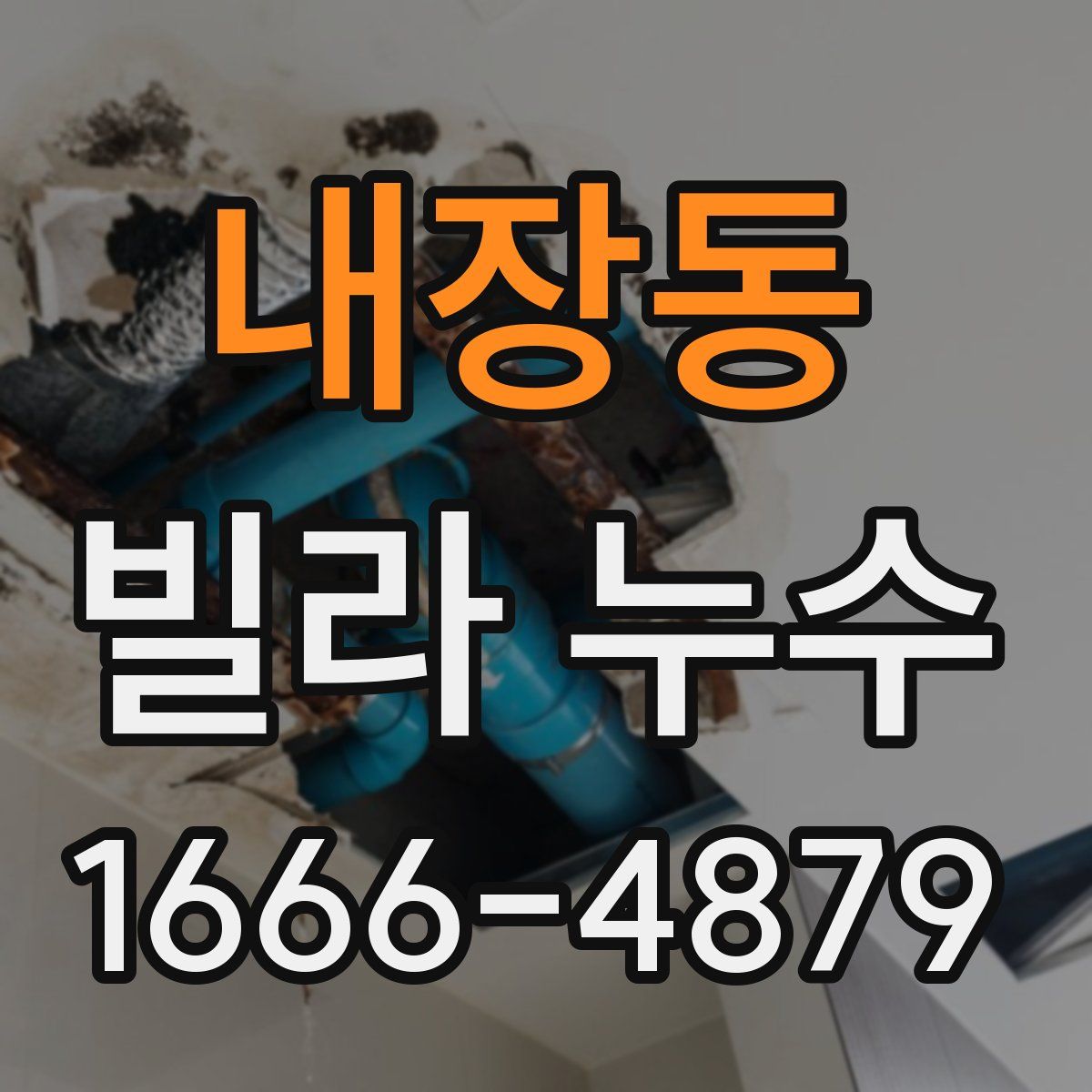 내장동 빌라 누수