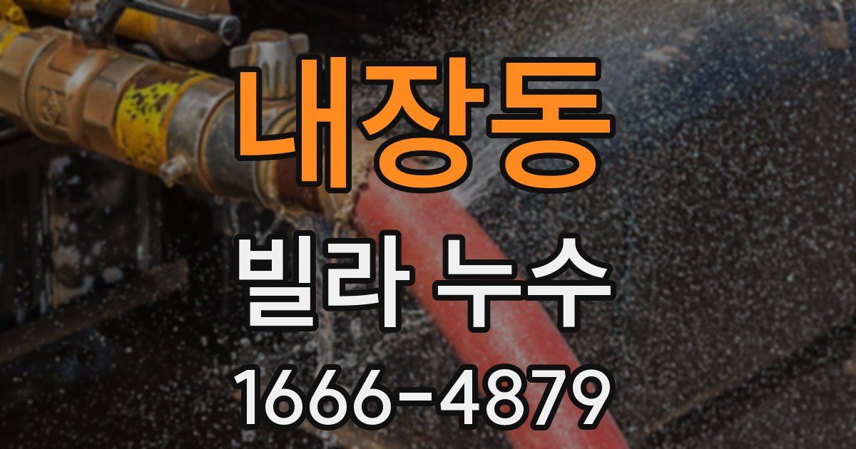 내장동 빌라 누수