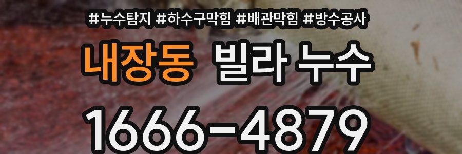 내장동 빌라 누수