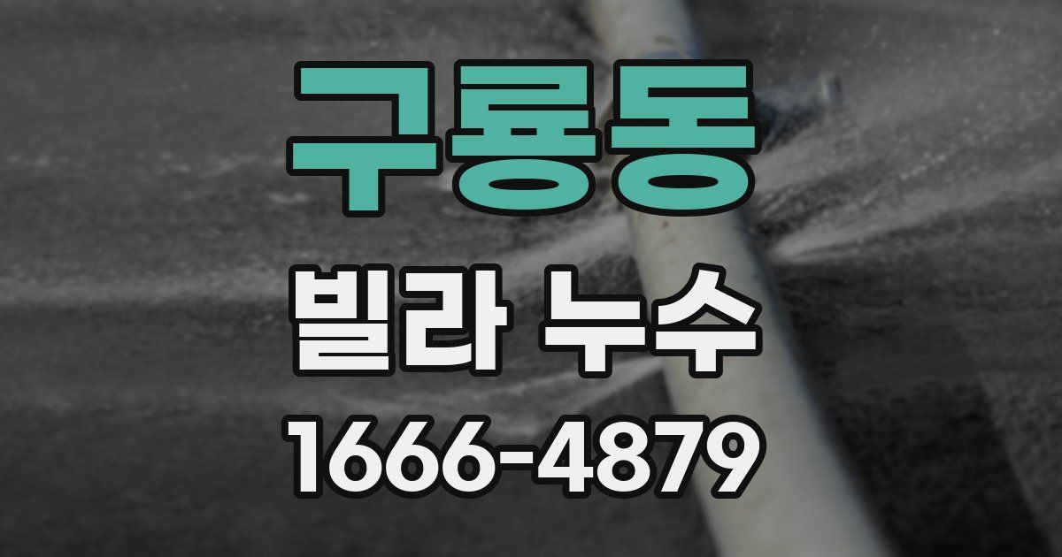 구룡동 빌라 누수