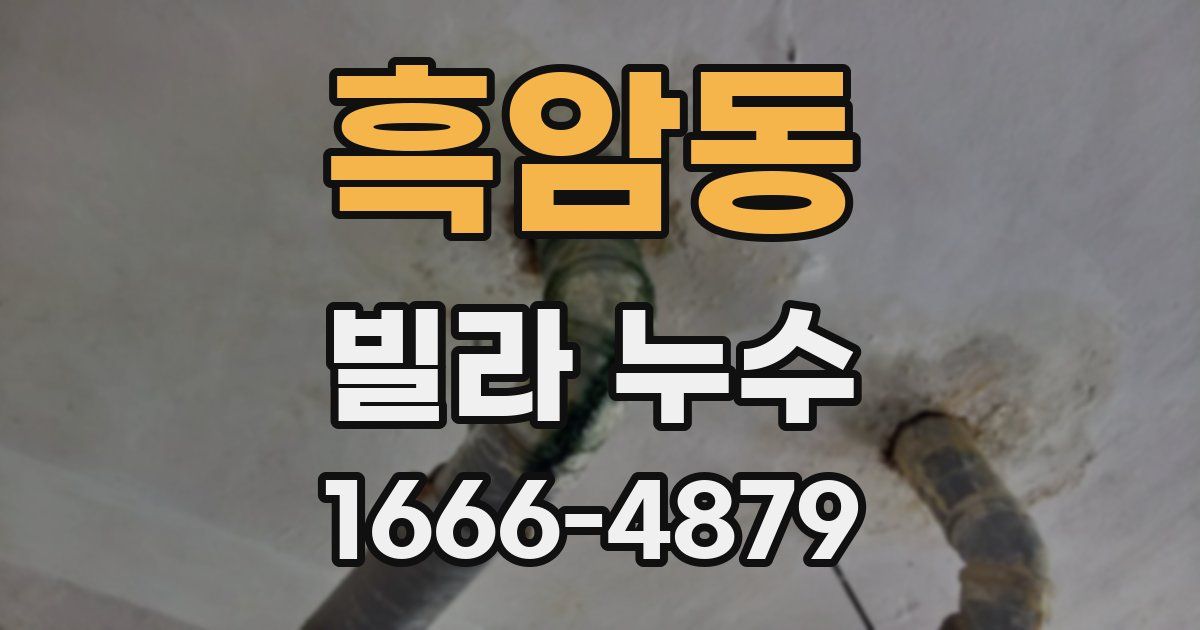 흑암동 빌라 누수