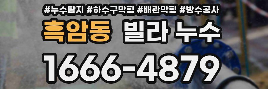흑암동 빌라 누수