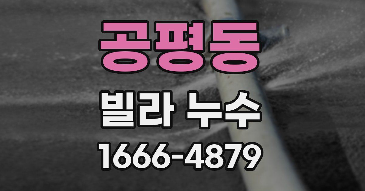 공평동 빌라 누수