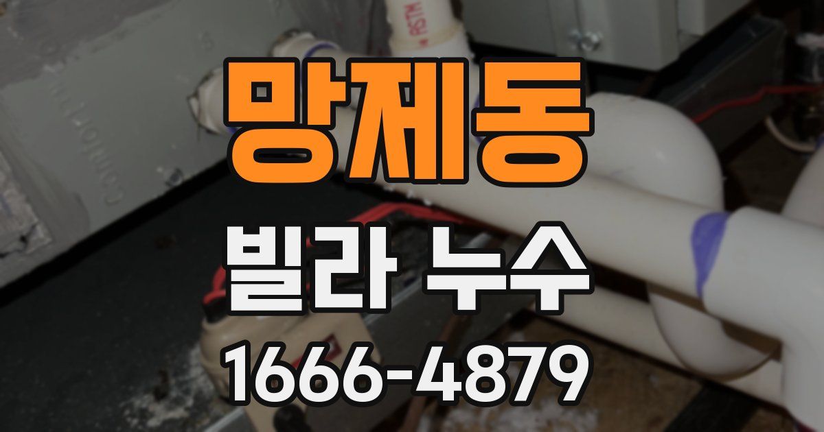 망제동 빌라 누수