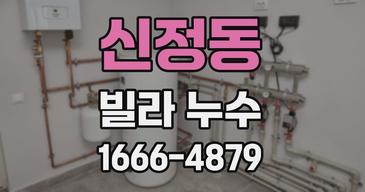 신정동 빌라 누수