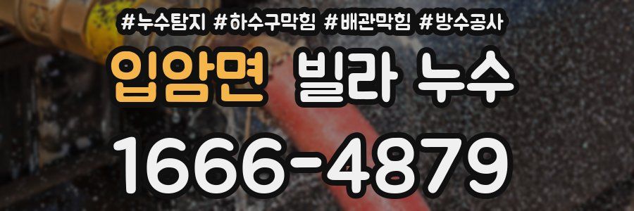 입암면 빌라 누수