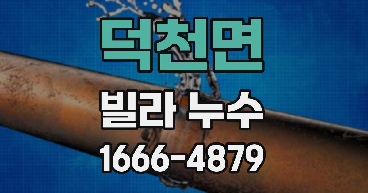 덕천면 빌라 누수