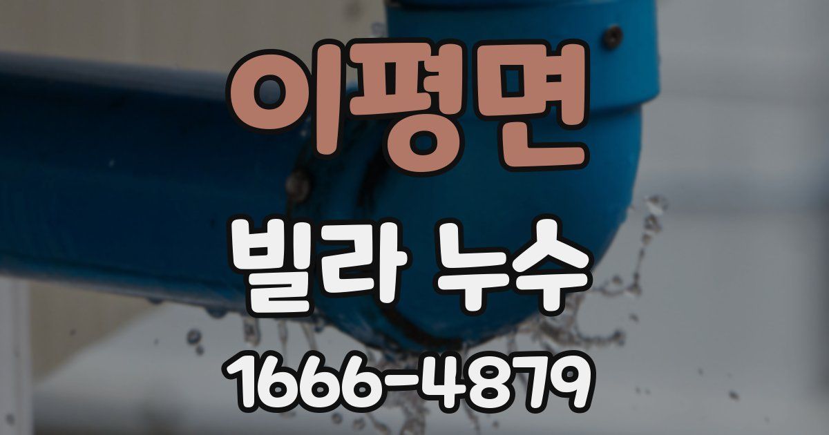 이평면 빌라 누수