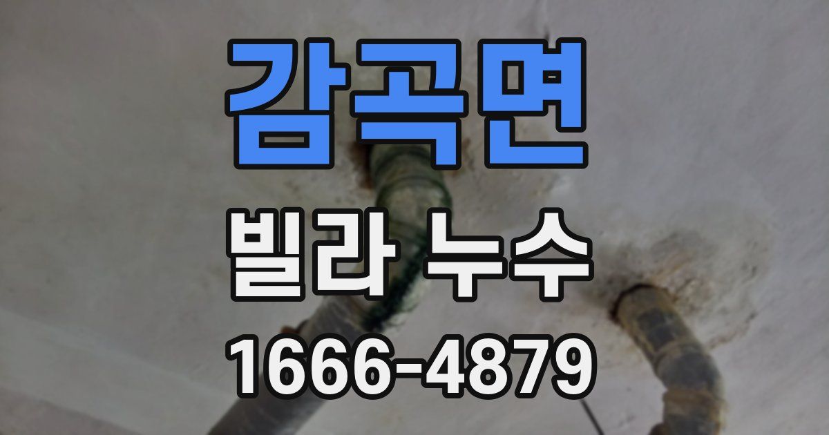 감곡면 빌라 누수