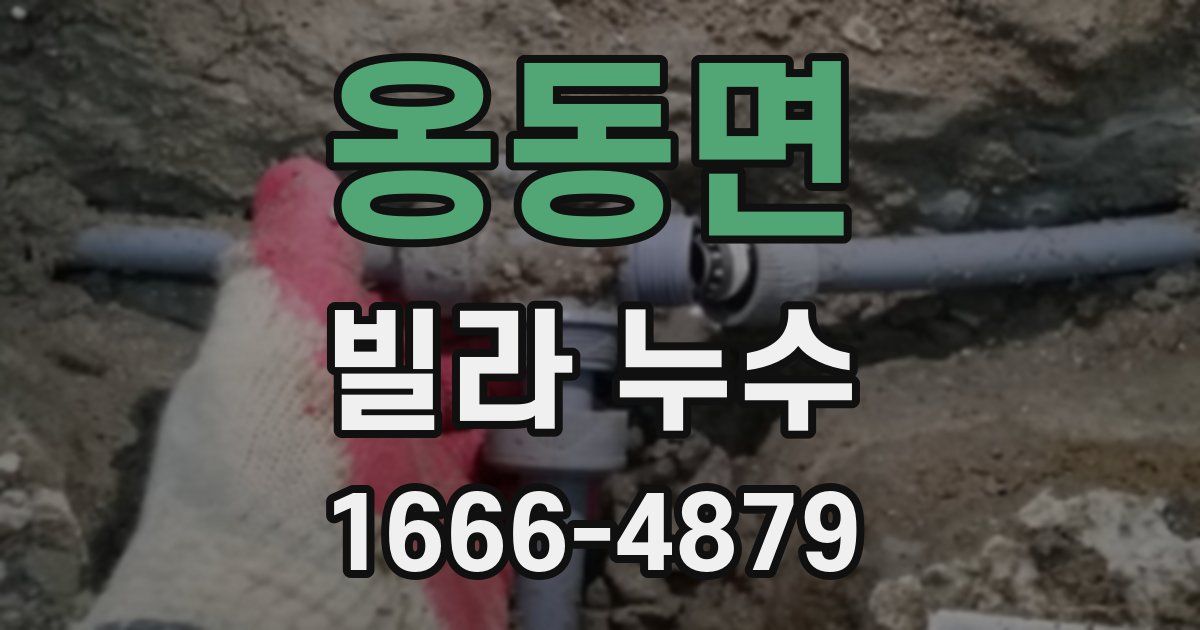 옹동면 빌라 누수