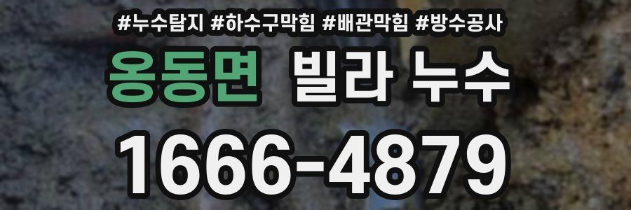 옹동면 빌라 누수