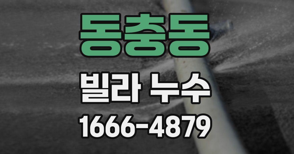 동충동 빌라 누수