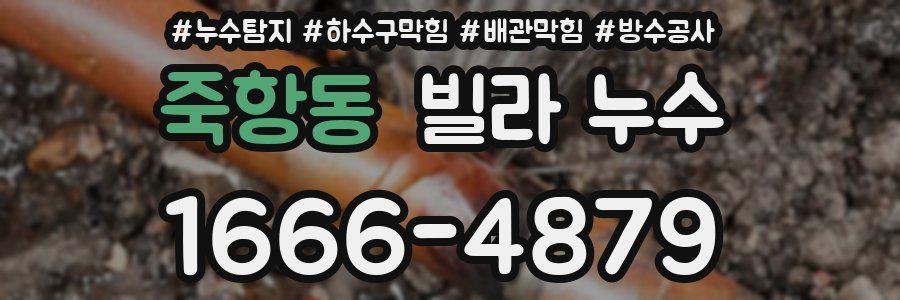 죽항동 빌라 누수