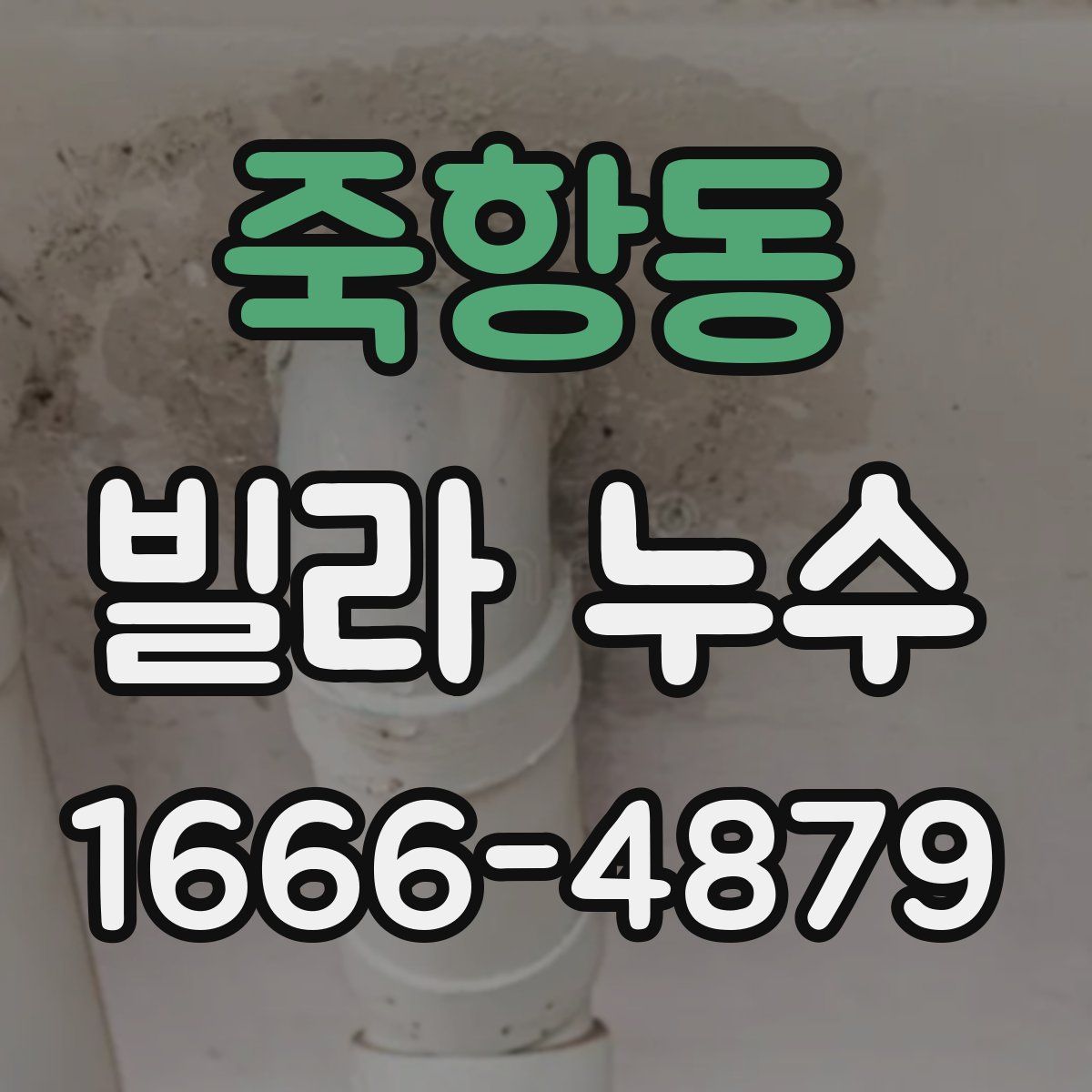 죽항동 빌라 누수