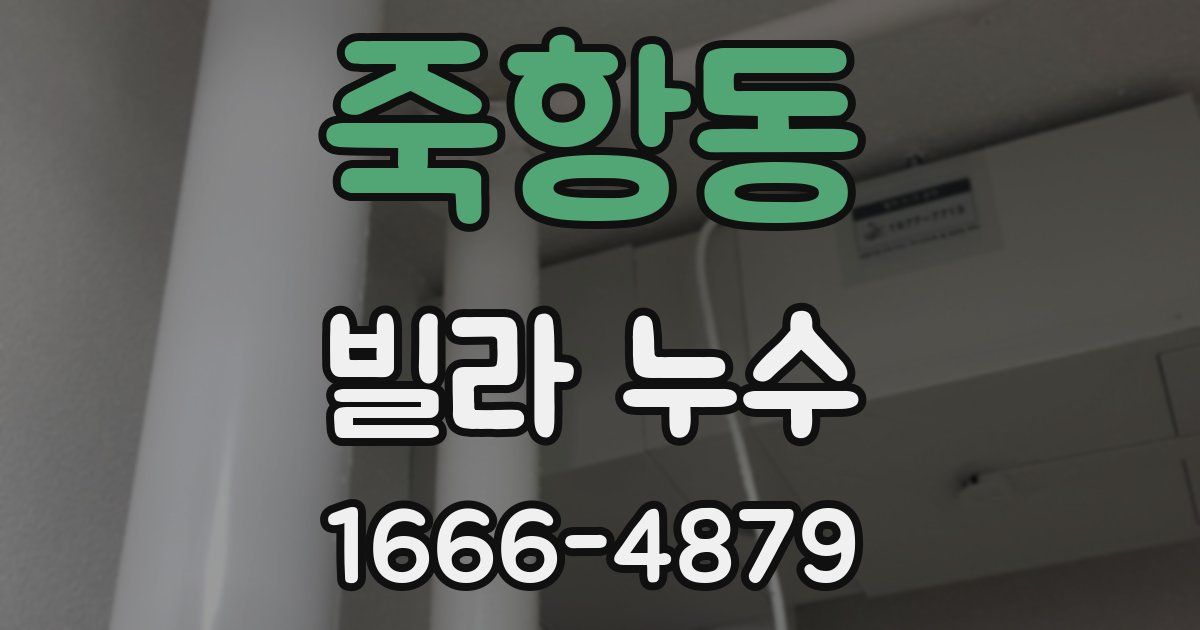 죽항동 빌라 누수
