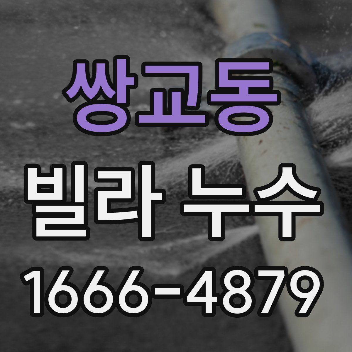 쌍교동 빌라 누수