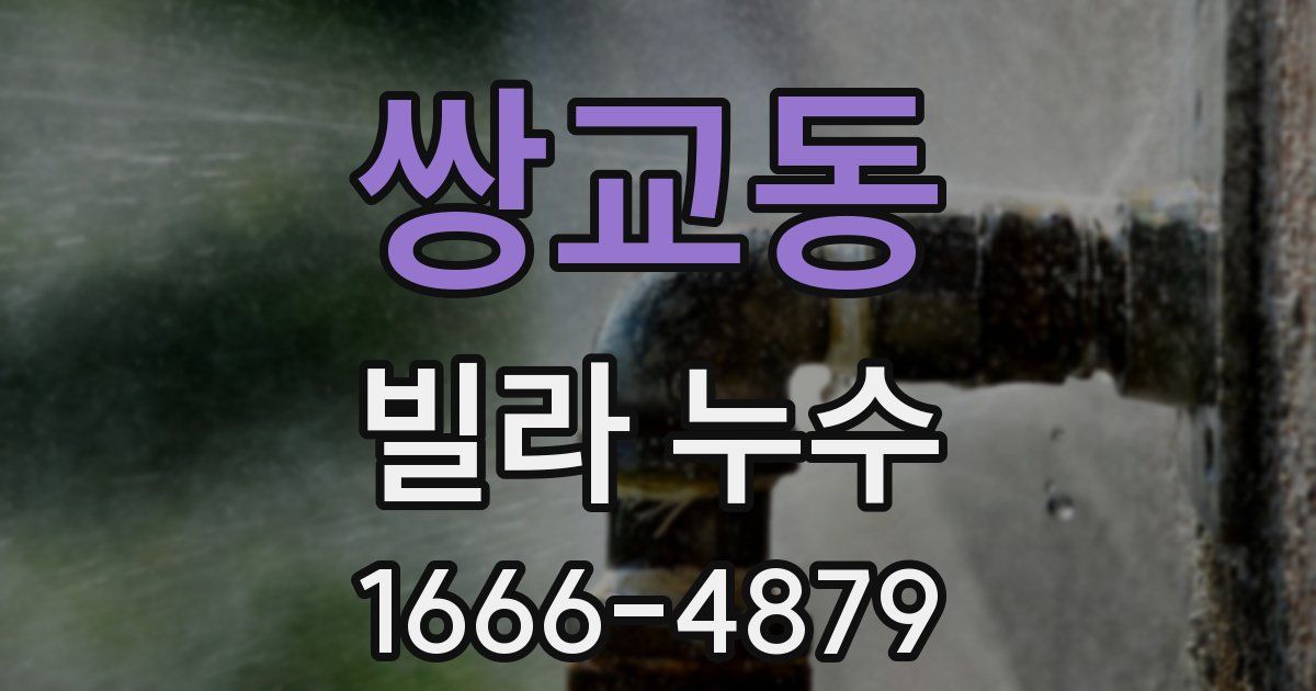 쌍교동 빌라 누수