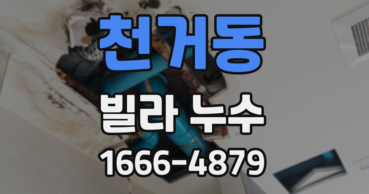 천거동 빌라 누수
