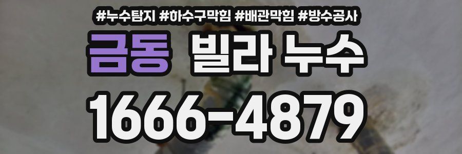금동 빌라 누수