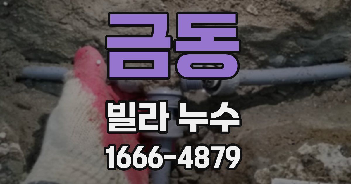 금동 빌라 누수