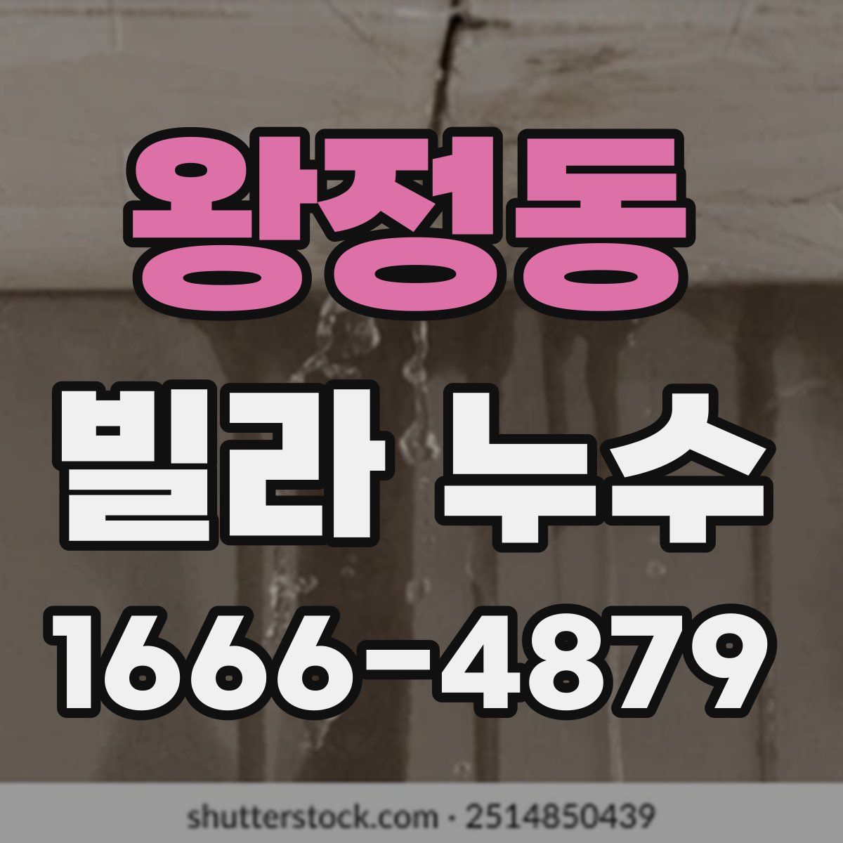 왕정동 빌라 누수