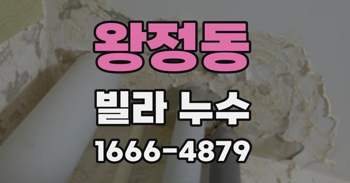 왕정동 빌라 누수