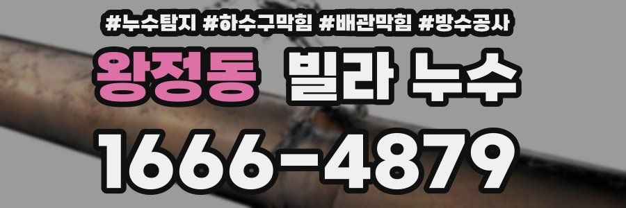 왕정동 빌라 누수