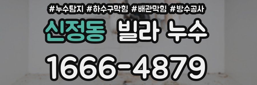 신정동 빌라 누수