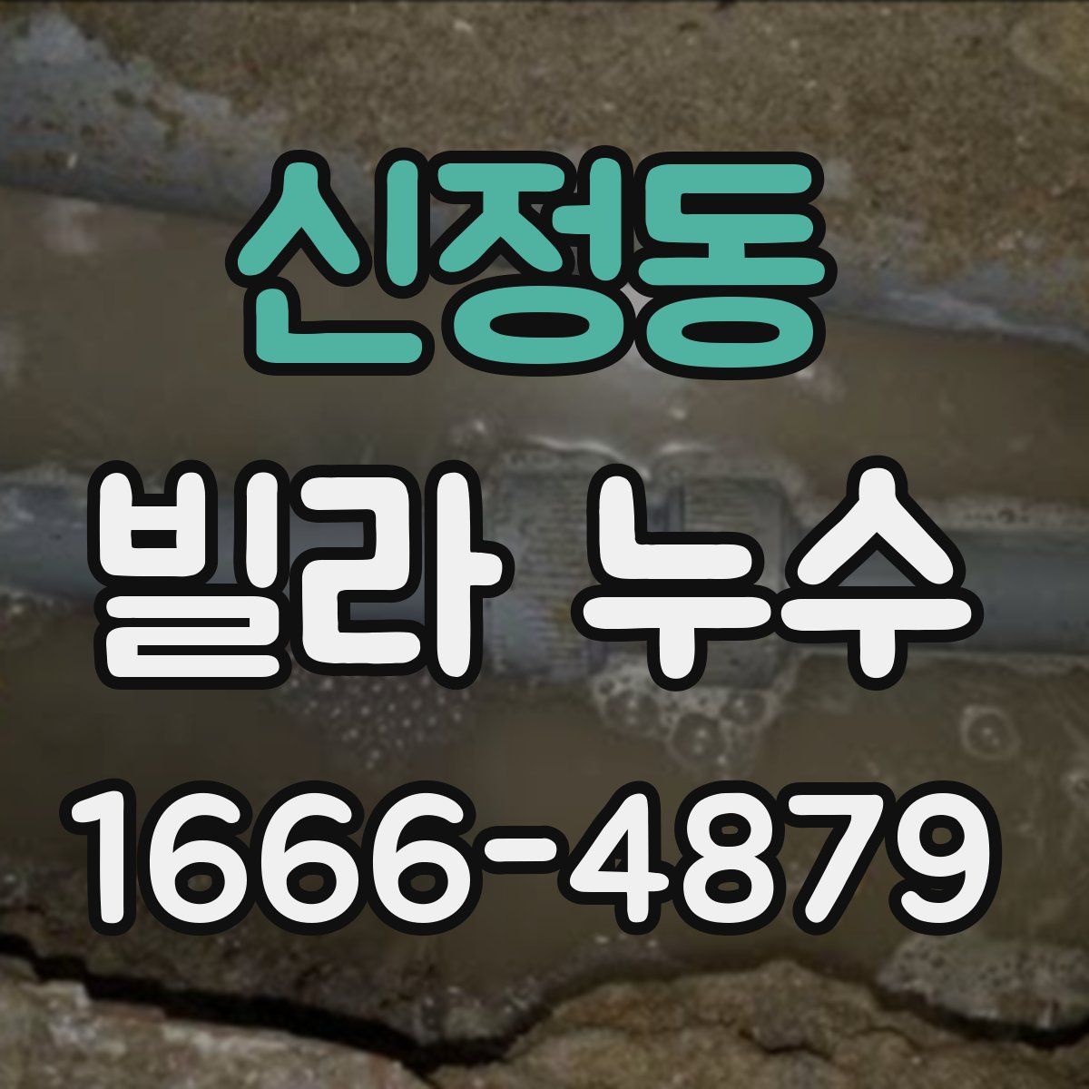 신정동 빌라 누수