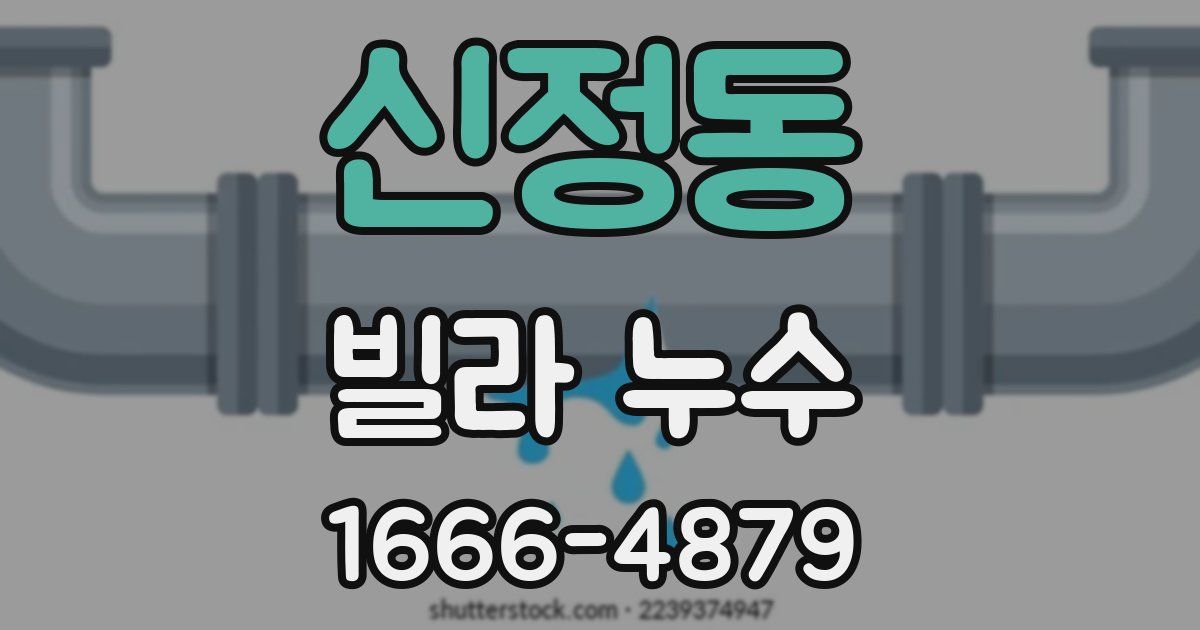 신정동 빌라 누수