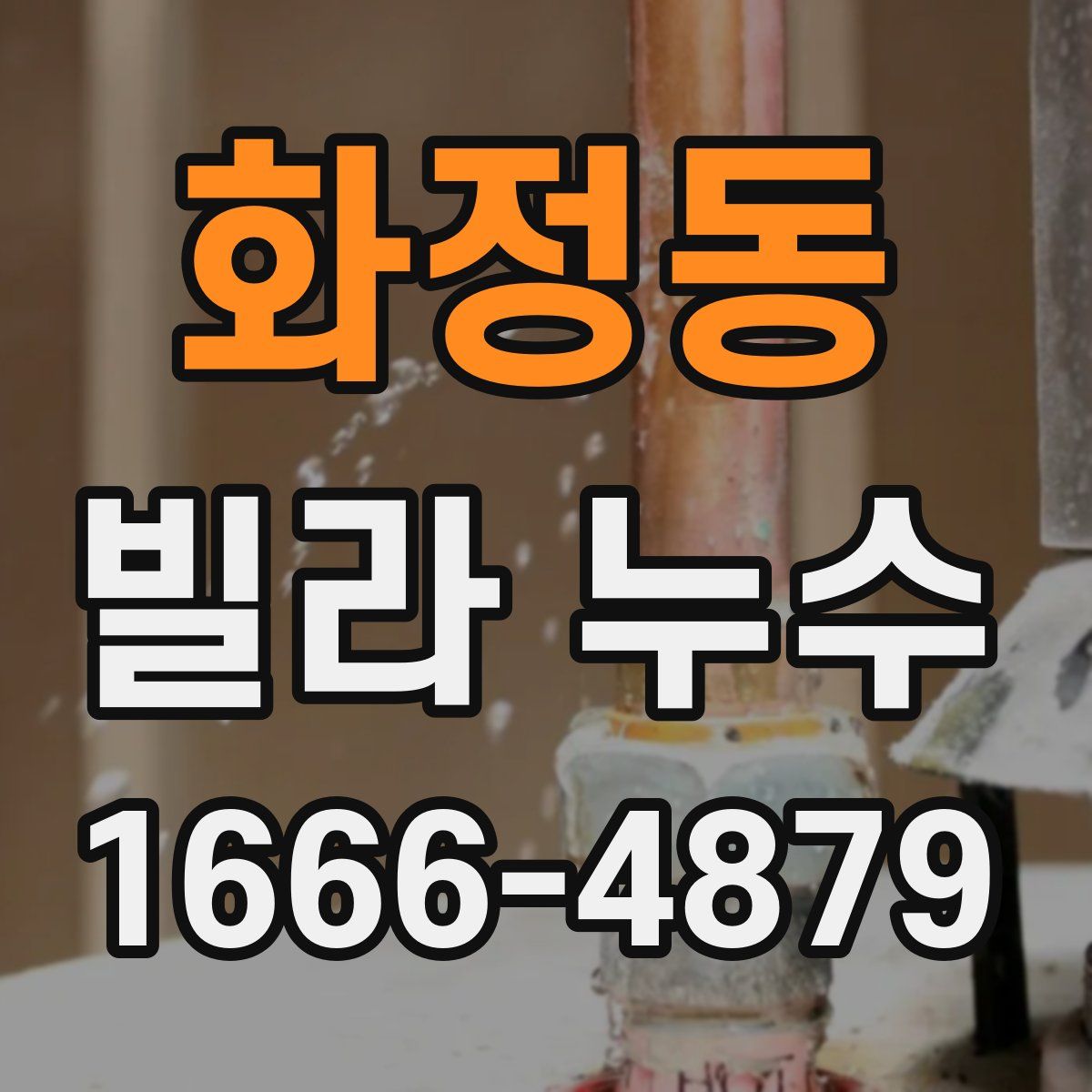 화정동 빌라 누수