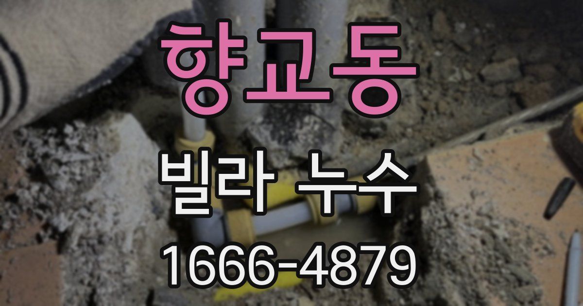 향교동 빌라 누수